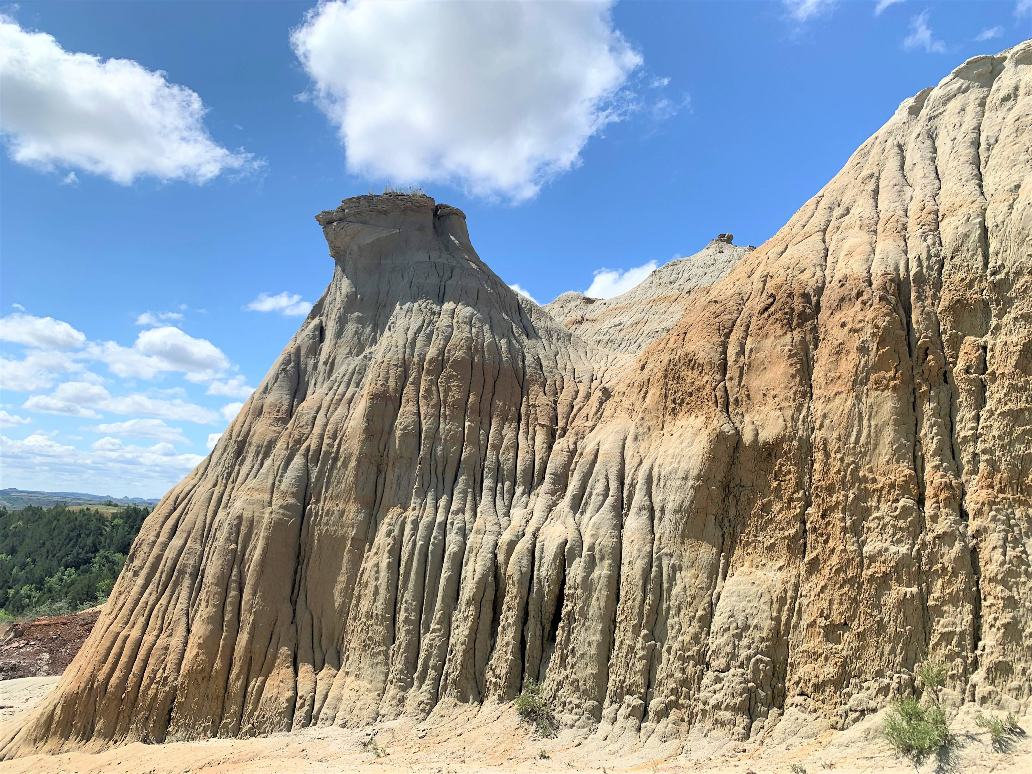 Theodore Roosevelt NP